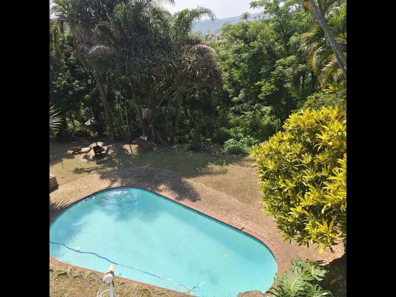 An elevated view of a swimming pool set within a lush, mature garden with established trees and brick paving.