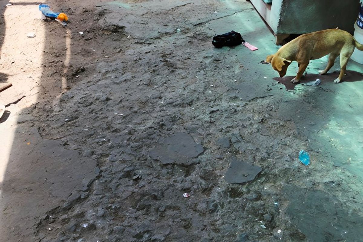 An outdoor rear area featuring a severely weathered and damaged concrete surface requiring significant repair or resurfacing.