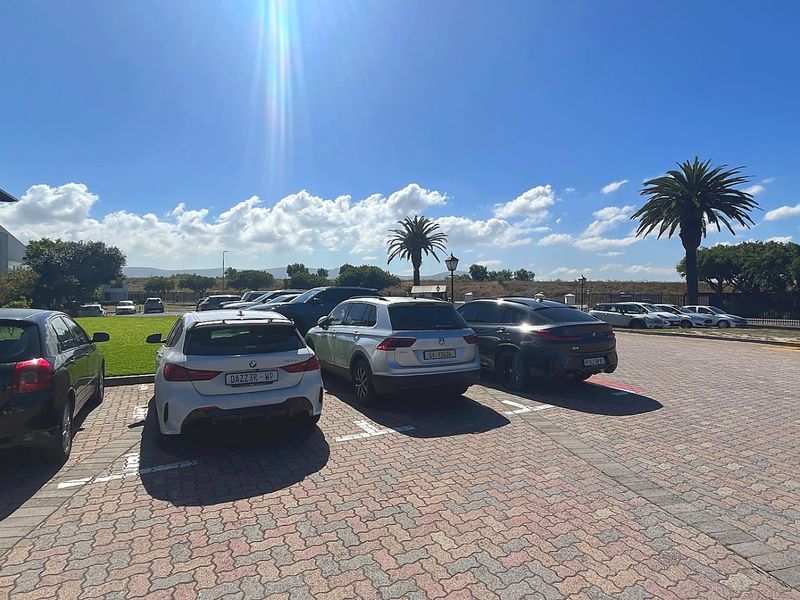 A well-maintained commercial parking area featuring paved surfaces, landscaped garden beds, and mature palm trees under a clear blue sky.