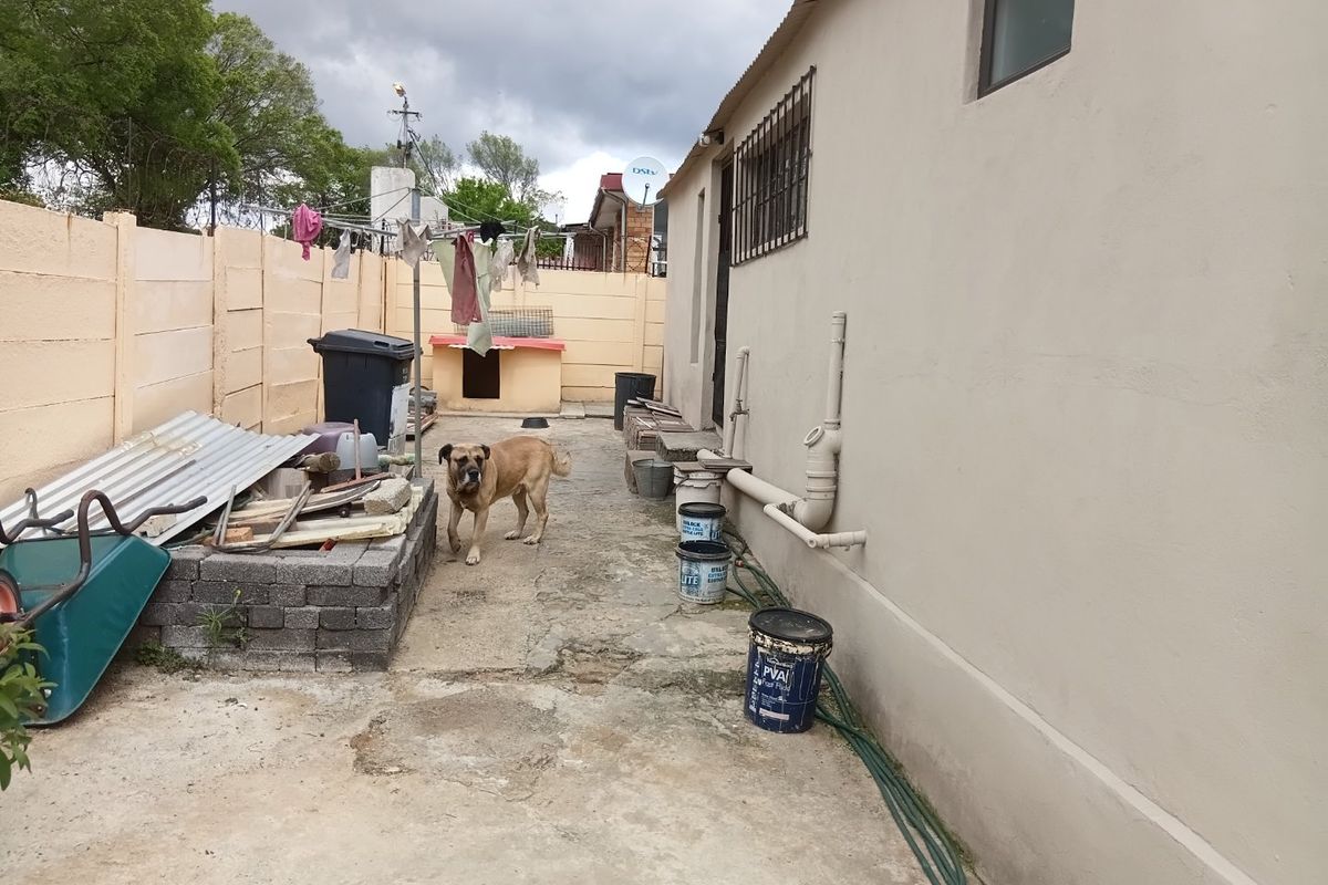 A view of the rear exterior area featuring a concrete paved yard, boundary wall, and external building infrastructure.