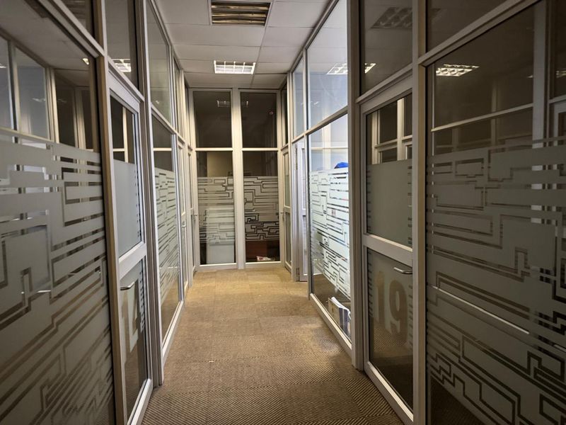 A commercial office hallway featuring glass partition walls with frosted privacy film, carpeted flooring, and a suspended ceiling with recessed lighting.