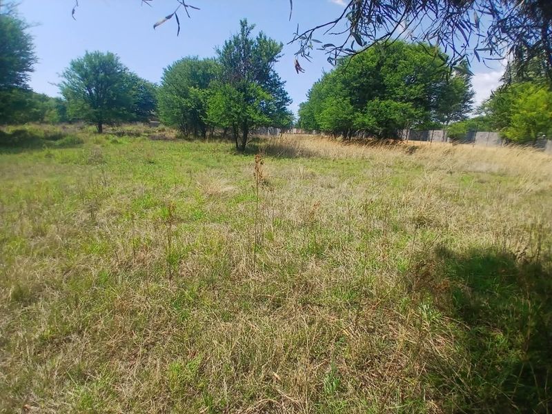 A view of a vacant residential plot featuring established trees, natural grassland, and perimeter fencing.