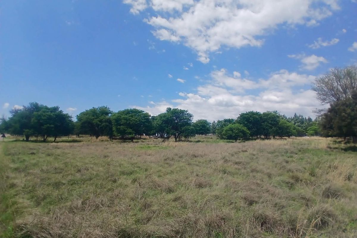 A wide-angle view of a vacant residential plot featuring established trees and natural grassland under a clear blue sky.