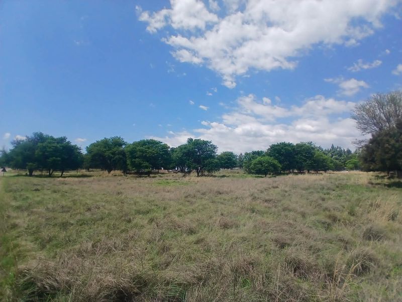 A wide-angle view of a vacant residential plot featuring established trees and natural grassland under a clear blue sky.