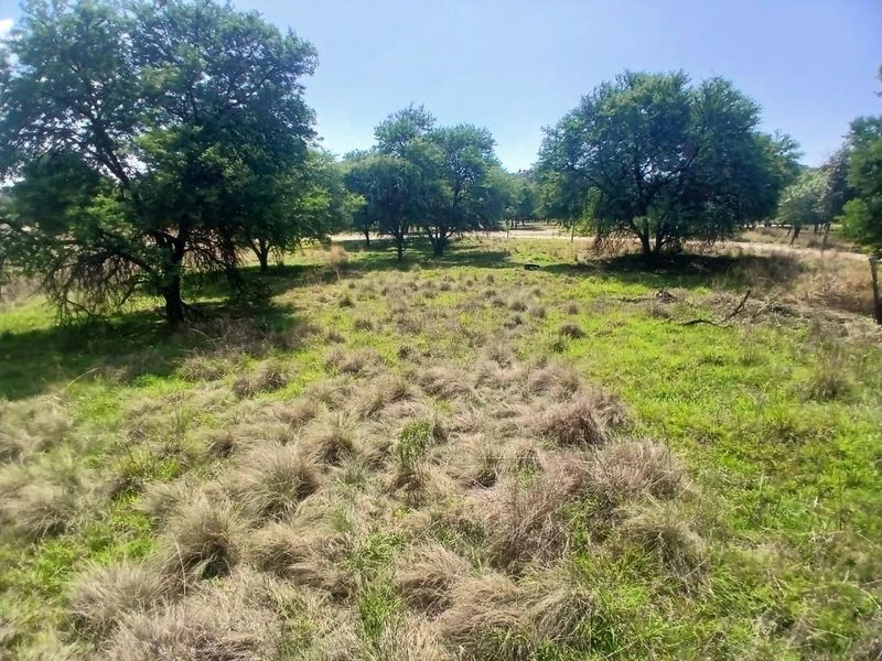 A view of a vacant residential plot featuring established trees and natural grassland, offering a peaceful setting for potential development.