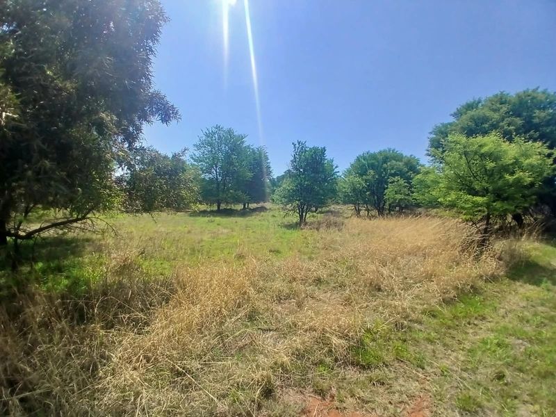 A view of a vacant residential plot featuring natural grassland and mature trees, offering a peaceful and open landscape setting.