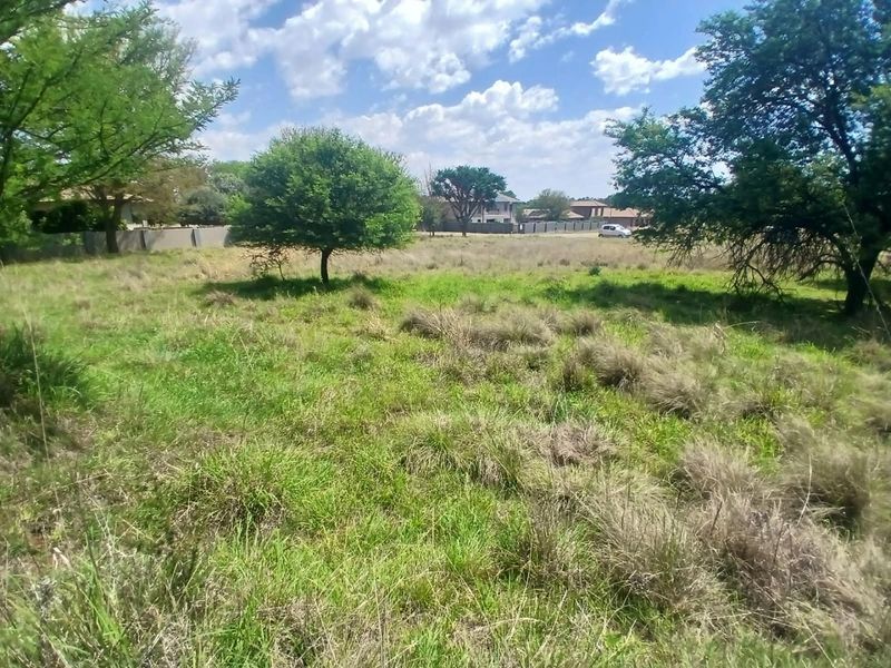A view of a vacant residential plot featuring established trees and a boundary wall, offering a blank canvas for future development.