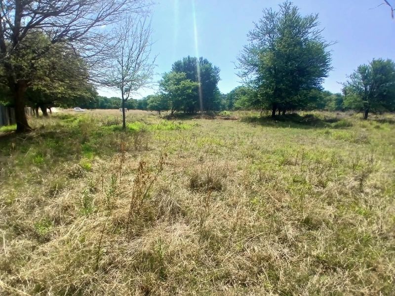 A view of a vacant residential plot featuring established trees and natural grassland, offering a blank canvas for future development.