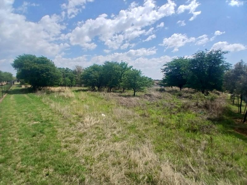 A spacious vacant residential plot featuring established trees, natural grassland, and perimeter fencing, offering a blank canvas for future development.