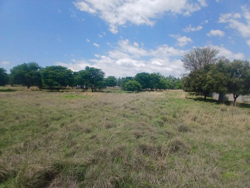 A view of a vacant residential plot featuring established trees and natural grassland, offering a blank canvas for future development.