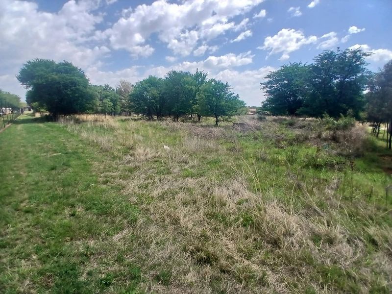 A view of a vacant residential plot featuring natural grass cover and mature trees along the perimeter.