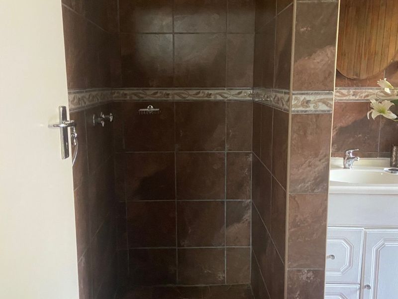 A bathroom featuring a walk-in shower with brown tiled walls and a vanity cabinet with a basin.