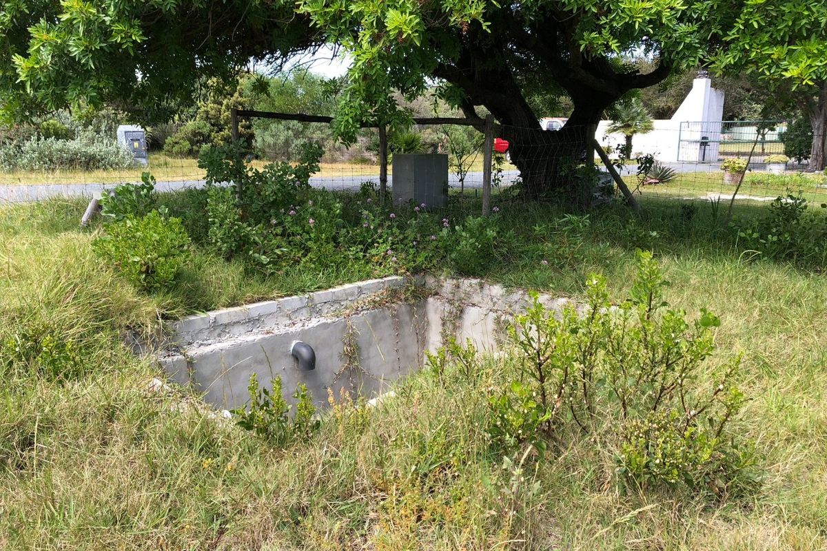 A view of a vacant residential plot featuring an overgrown garden area with a small, exposed concrete basin and perimeter wire fencing.