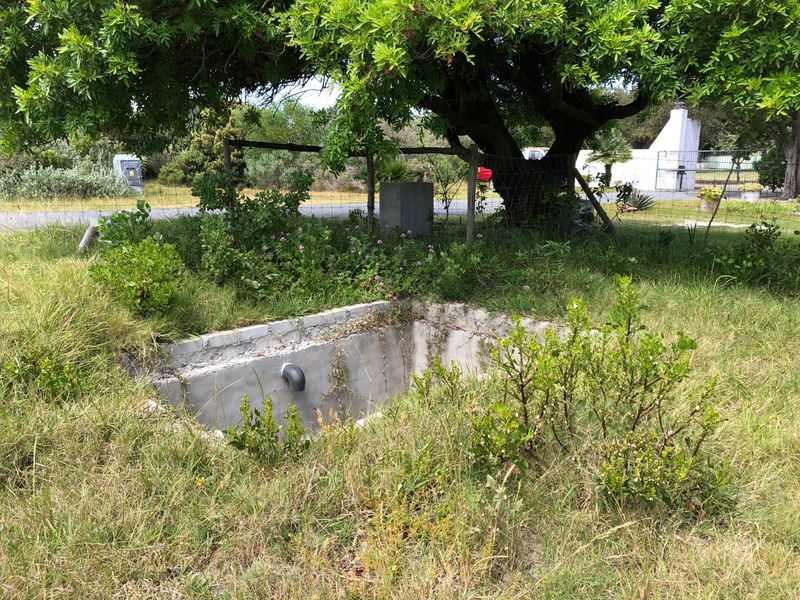 A view of a vacant residential plot featuring an overgrown garden area with a small, exposed concrete basin and perimeter wire fencing.