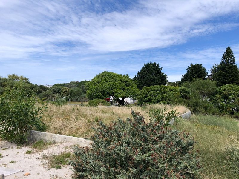 A view of a vacant residential plot featuring established trees, natural vegetation, and a low concrete retaining wall.