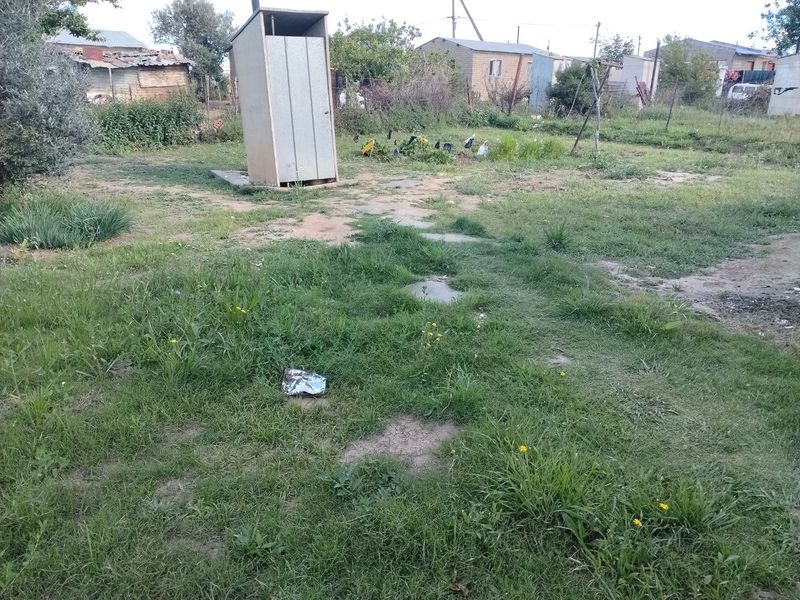 A large, unmaintained garden area featuring a standalone outdoor toilet structure and scattered stepping stones.