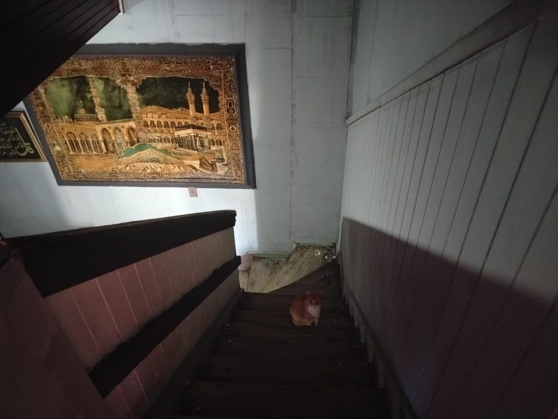 A narrow interior staircase featuring timber wall paneling and a handrail, showing signs of wear and requiring maintenance.
