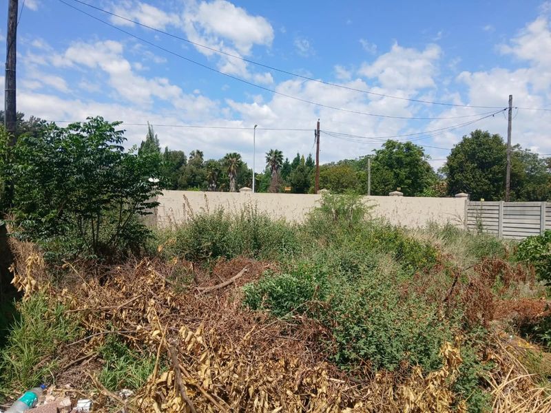 A vacant residential plot featuring a perimeter wall, utility poles, and significant overgrown vegetation.