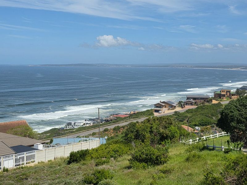 A scenic elevated view overlooking the coastline, ocean, and surrounding residential properties.