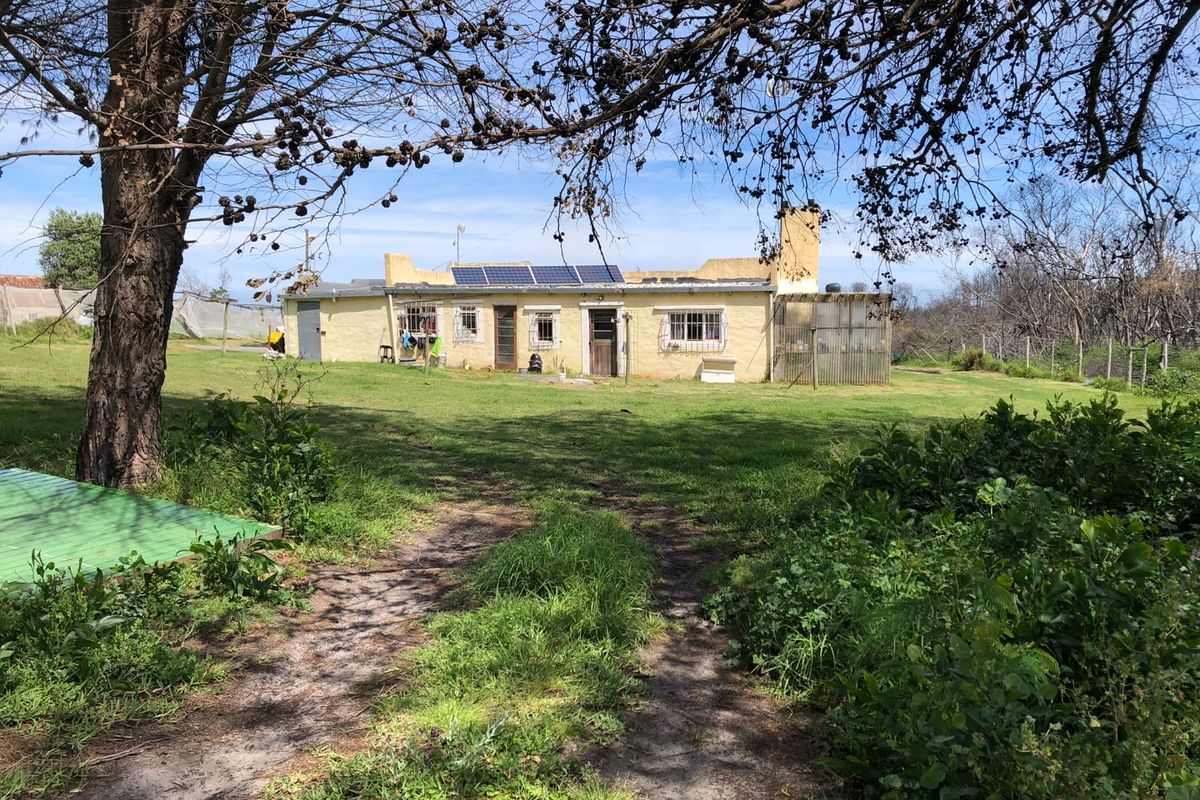 Rear view of a farm dwelling featuring solar panels, a chimney, and security bars on windows, set within a large rural garden area.