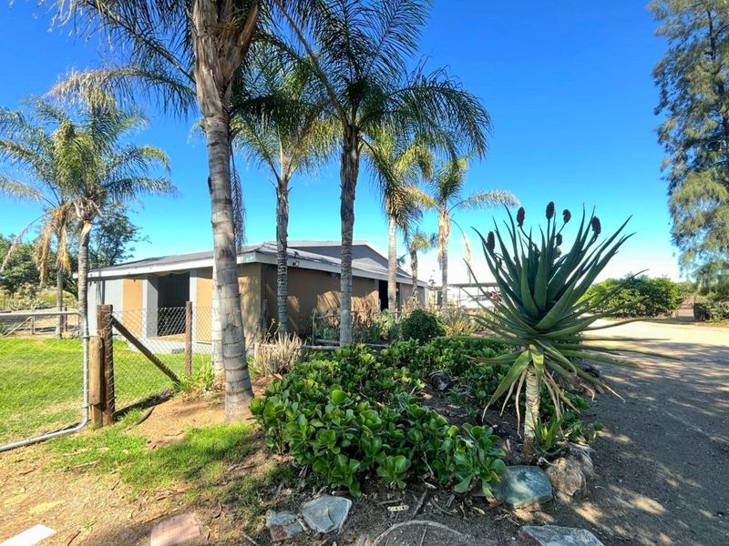 Front exterior view of the property featuring a landscaped garden with palm trees and a chain-link fence boundary.