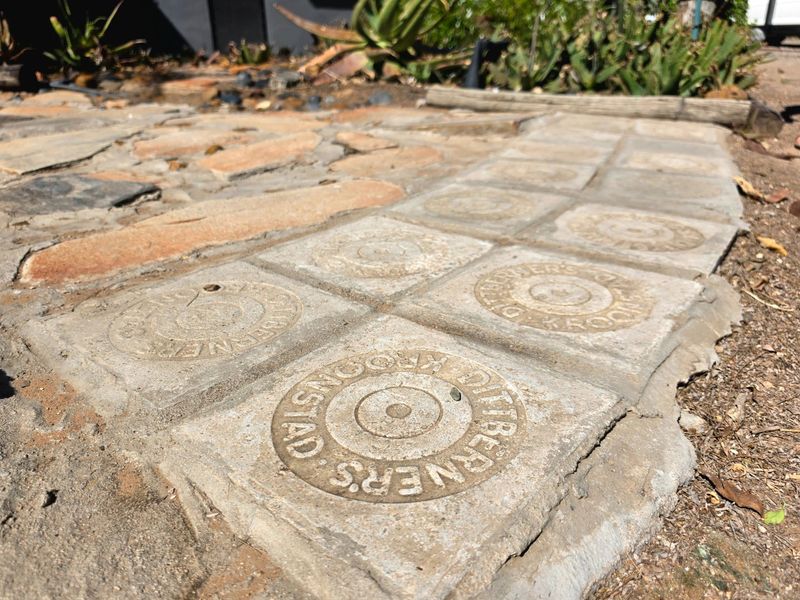 A close-up view of a garden pathway featuring decorative concrete pavers and natural stone paving elements.