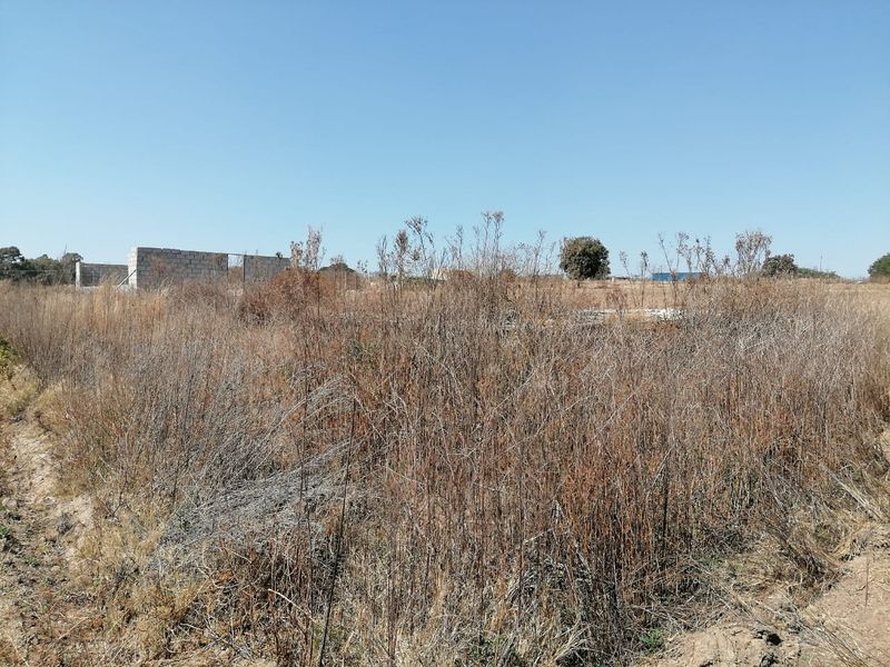 A large, undeveloped farm plot featuring overgrown dry vegetation and the partial remains of a concrete block wall structure.
