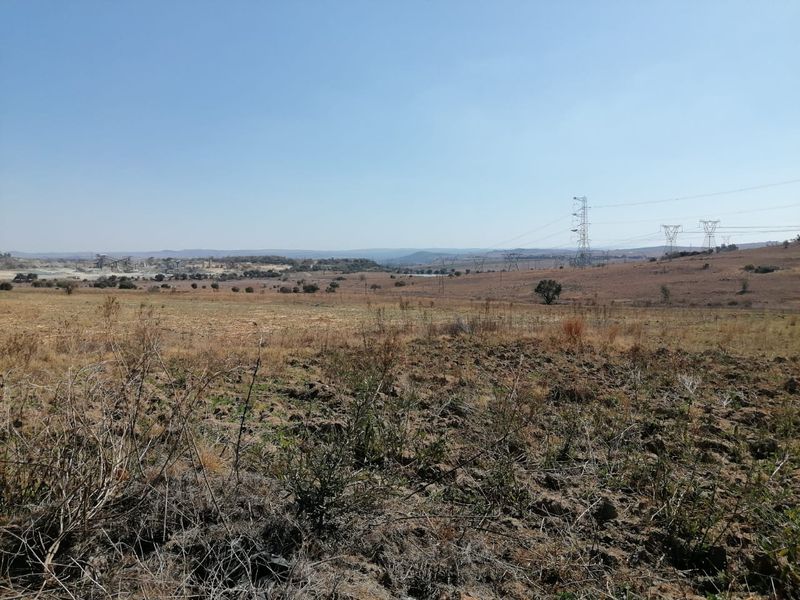 A wide-angle view of the expansive farm landscape featuring open fields and visible power line infrastructure in the distance.
