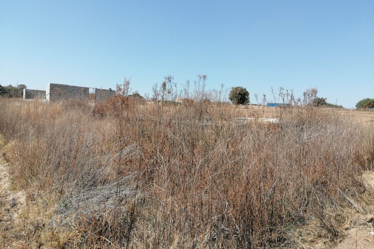 An expansive, overgrown plot of land featuring a partially constructed concrete block wall structure, offering significant potential for development.