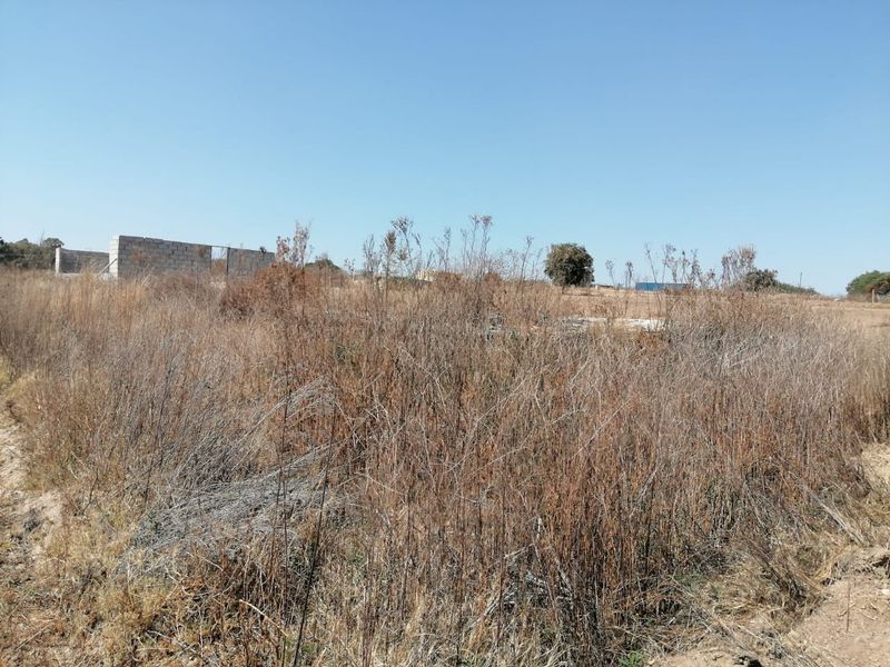 An expansive, overgrown plot of land featuring a partially constructed concrete block wall structure, offering significant potential for development.