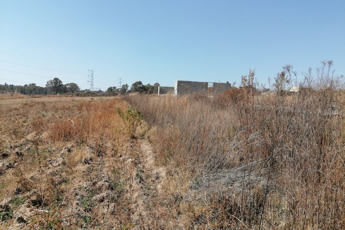 A view of an undeveloped farm plot featuring dry, overgrown vegetation and the partial shell of a concrete block structure in the distance.