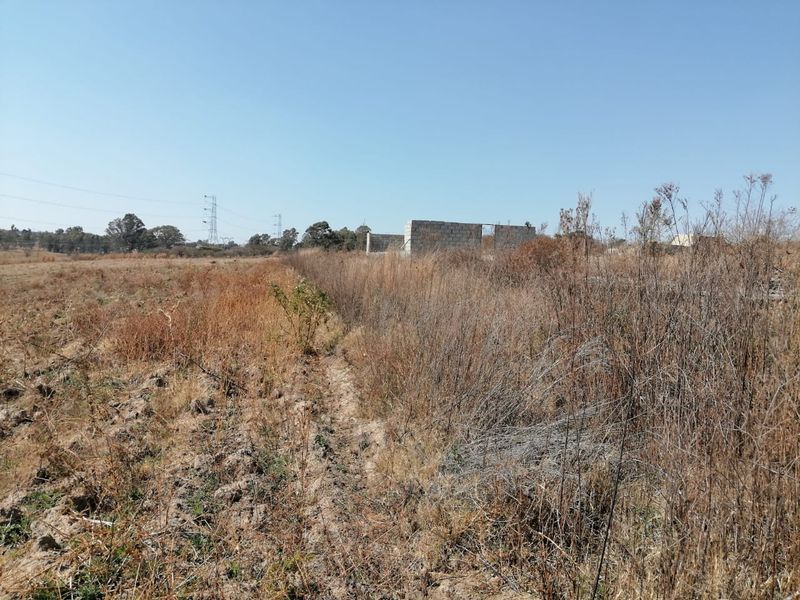 A view of an undeveloped farm plot featuring dry, overgrown vegetation and the partial shell of a concrete block structure in the distance.