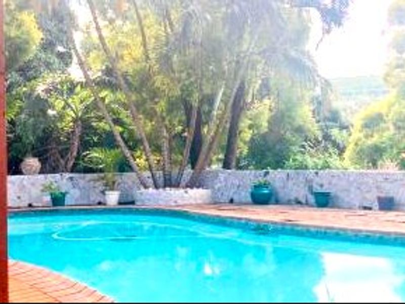 A private swimming pool area featuring a paved deck and a stone retaining wall surrounded by established garden greenery.