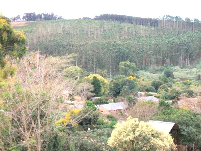 A scenic elevated view overlooking a lush green valley with dense forest and scattered residential properties.