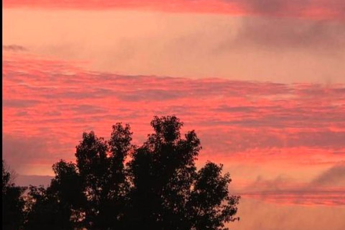 A scenic view of a vibrant sunset sky over silhouetted trees.
