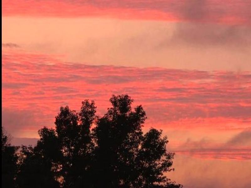 A scenic view of a vibrant sunset sky over silhouetted trees.