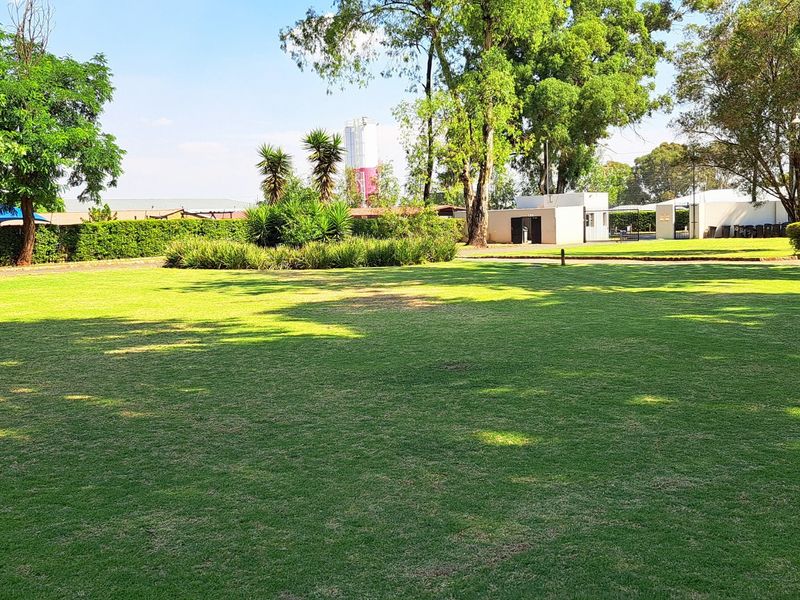 A spacious, well-maintained communal garden area featuring expansive green lawns, mature trees, and established perimeter hedging.