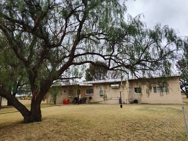 Rear view of a single-story farm house featuring a metal roof, casement windows, and a large mature tree in the yard.