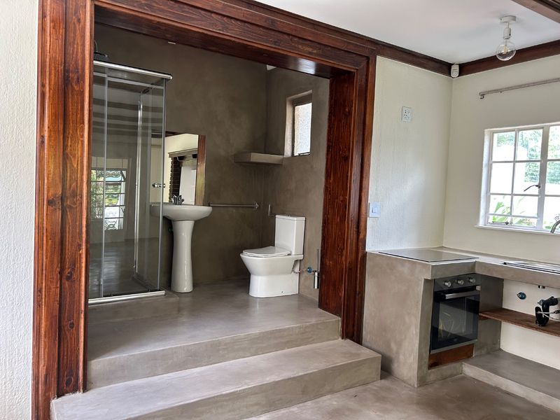 An open-plan space featuring a modern concrete-finish kitchen area and an integrated bathroom with a glass shower, pedestal basin, and toilet.