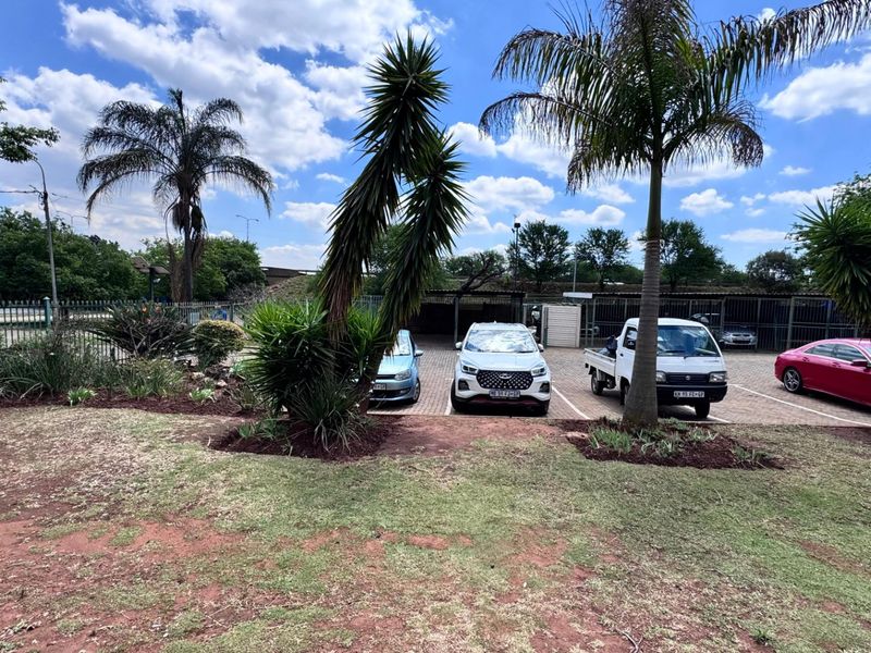 An outdoor parking area featuring paved bays, metal security fencing, and established garden beds with mature palm trees.