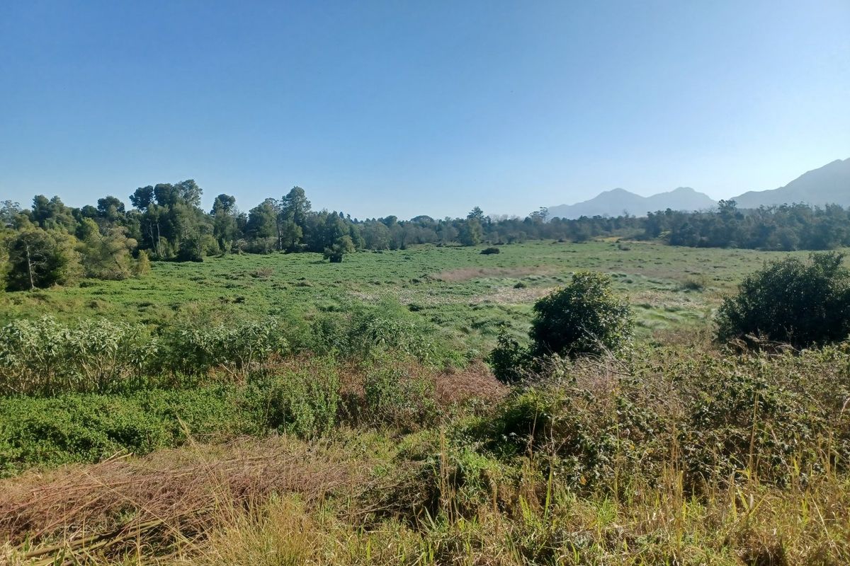 A scenic view of a large, undeveloped residential land plot featuring natural vegetation and distant mountain vistas.
