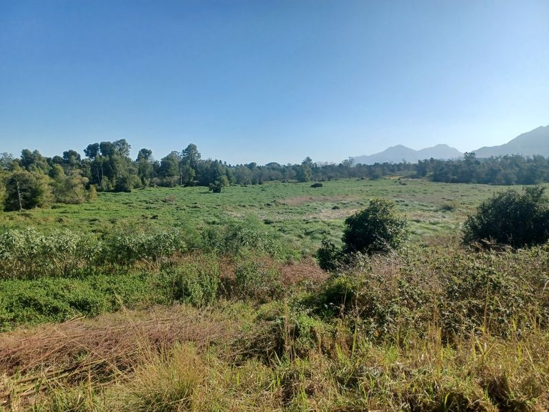 A scenic view of a large, undeveloped residential land plot featuring natural vegetation and distant mountain vistas.