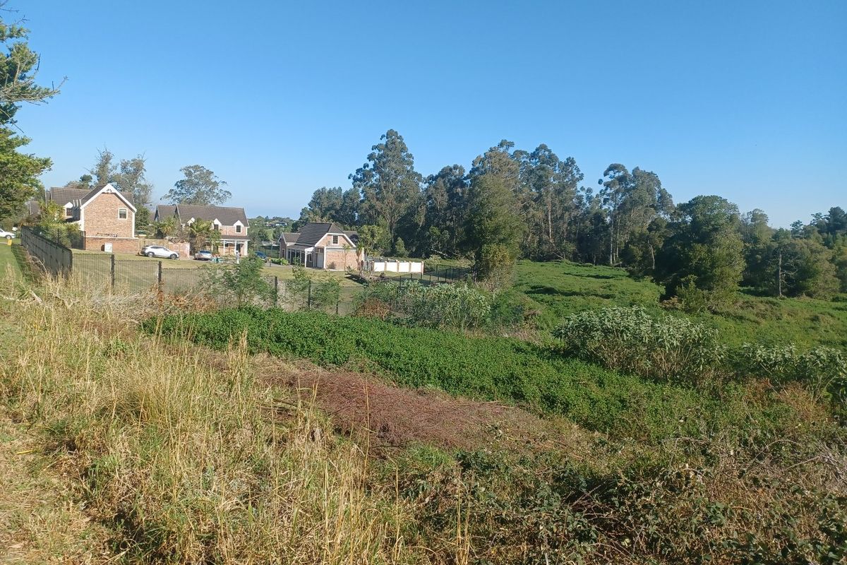 A view of an undeveloped residential plot featuring natural vegetation and perimeter fencing, with neighboring houses visible in the background.