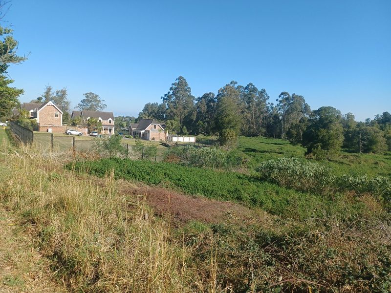 A view of an undeveloped residential plot featuring natural vegetation and perimeter fencing, with neighboring houses visible in the background.