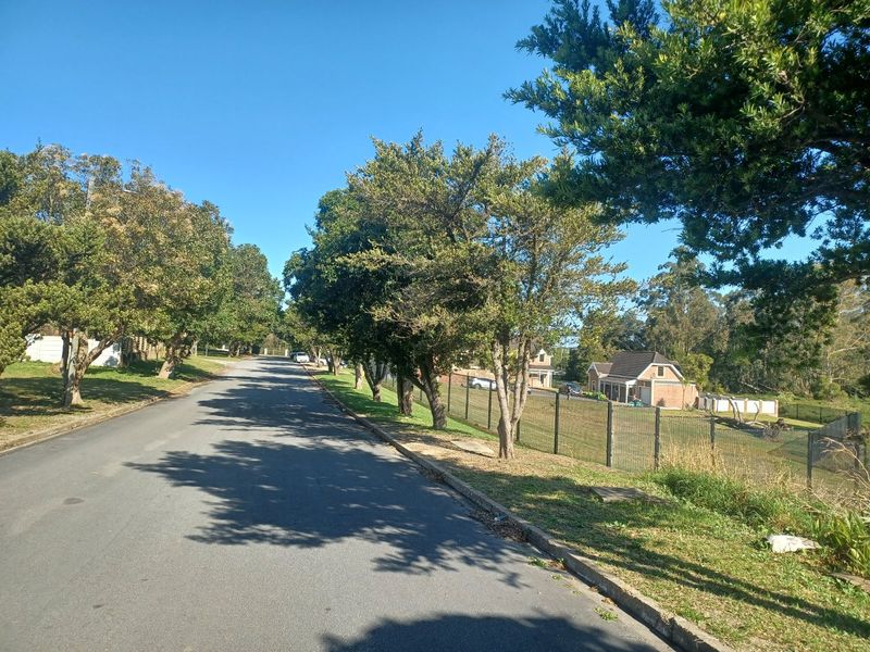 A view of the residential street frontage showing the asphalt road, concrete curbing, and established trees bordering the property boundary.