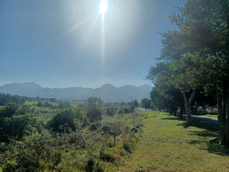 A scenic view of the surrounding landscape featuring mature trees, a grass verge, and a prominent mountain range in the distance.