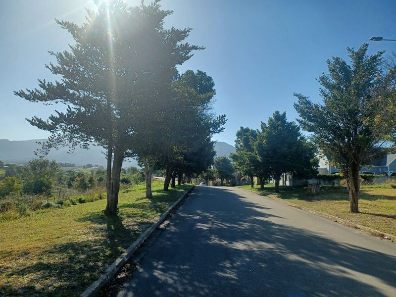 A view of the paved residential street lined with mature trees, showing the approach to the vacant land property.