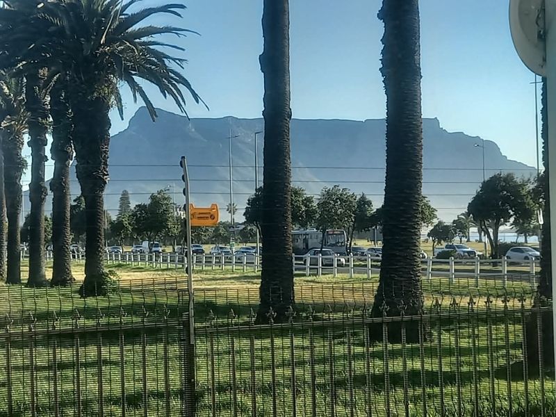 A scenic view of Table Mountain framed by palm trees, overlooking a public park area and street with perimeter fencing.