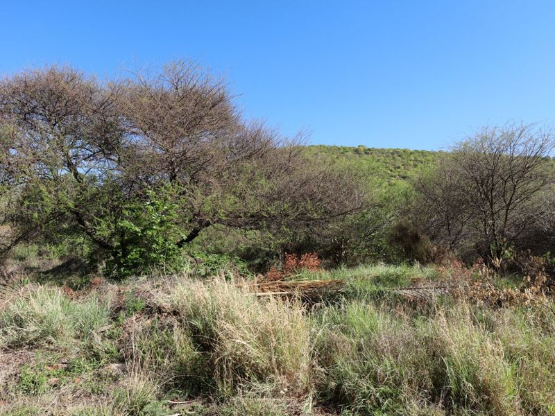 A view of the vacant residential land featuring natural vegetation and established trees against a hillside backdrop.