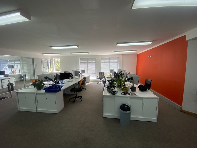 Open-plan commercial office space featuring neutral carpeting, fluorescent lighting, large windows with blinds, and glass partitioning for a bright, professional work environment.